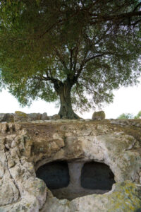 Servizi NCC da/per Pani Loriga a Santadi